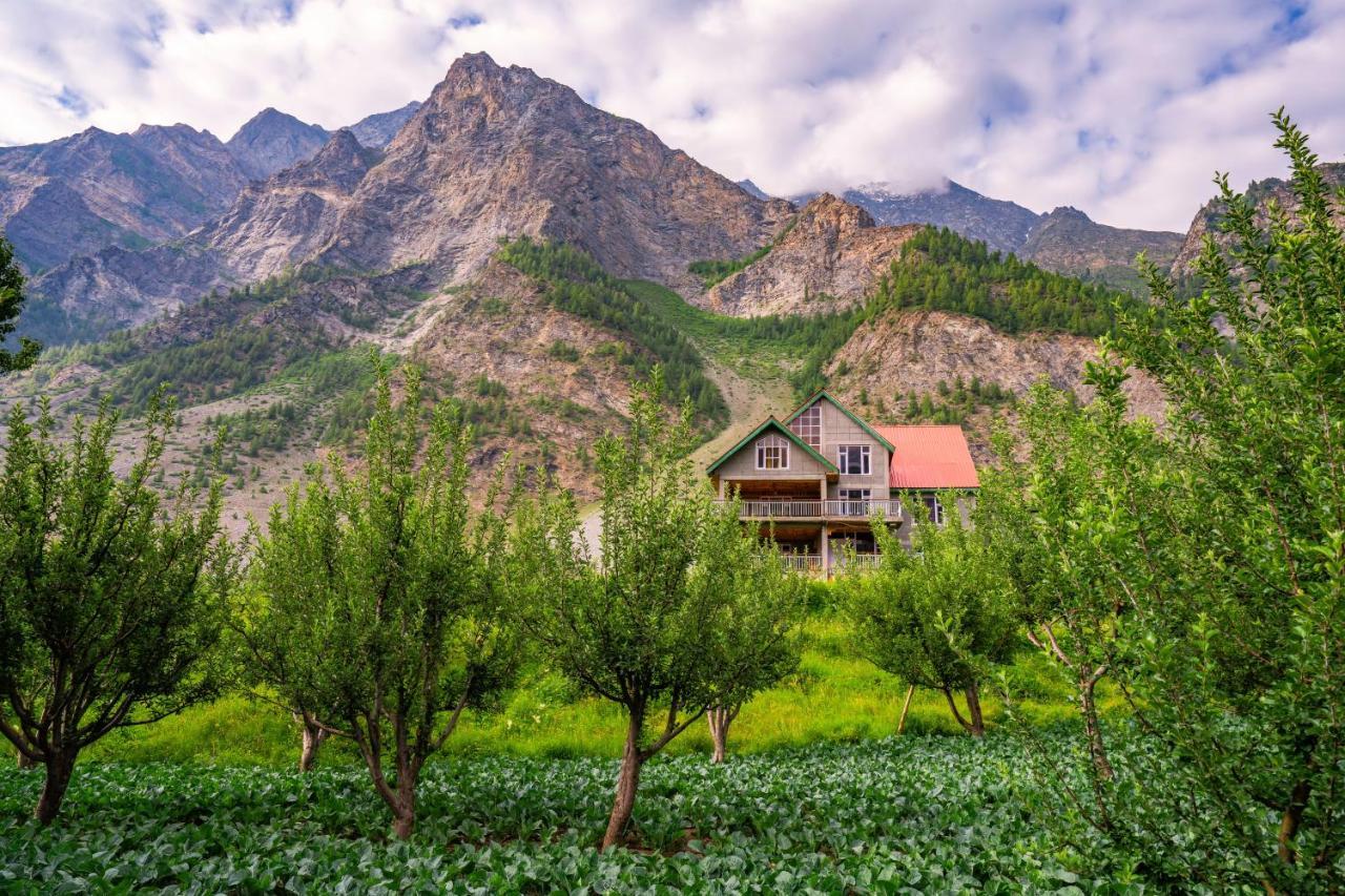 Zostel Homes Rashil Tandi Zewnętrze zdjęcie